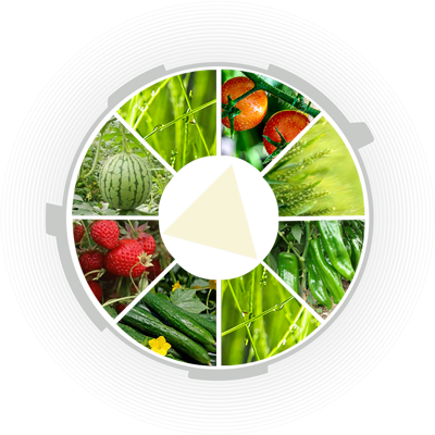 潍坊晶园肥料有限公司_适用作物