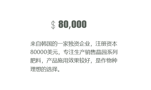 注册资金80000美元