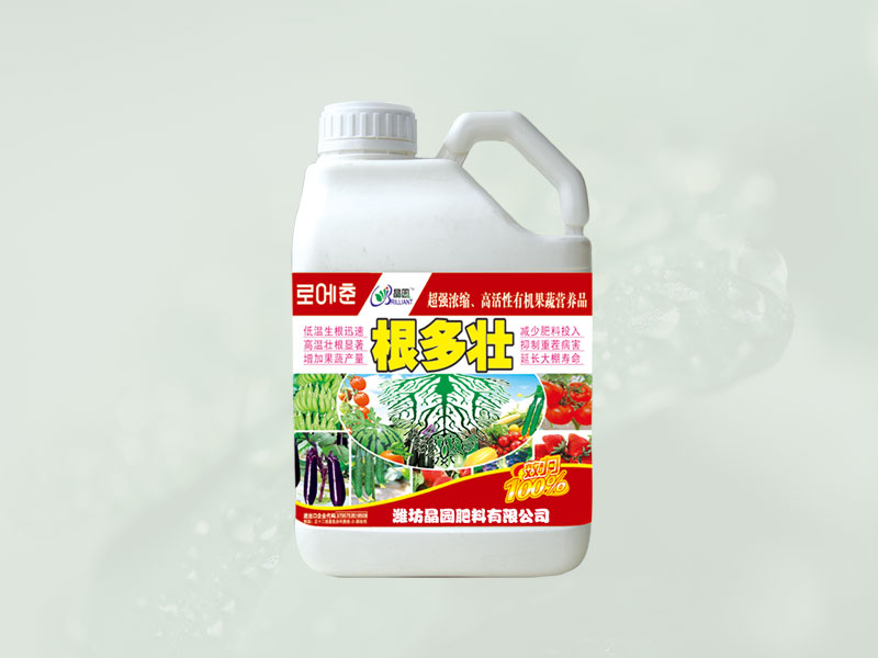 根多壮
