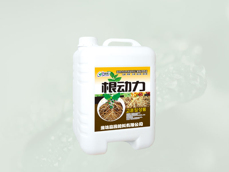 根动力