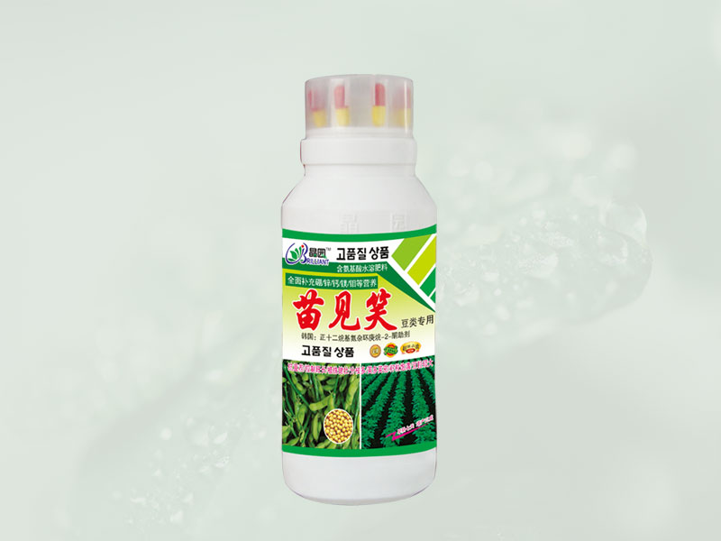 苗见笑(豆类用)