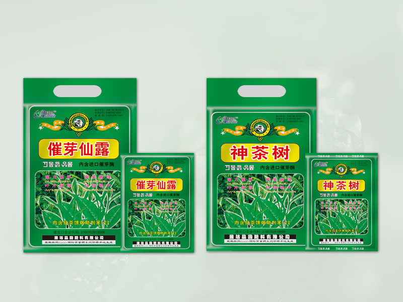 神茶树 催芽仙露